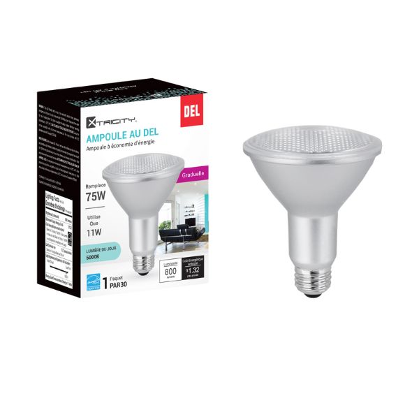 Ampoule DEL type PAR30 intensité variable 11W / 120V / 5000K lumière du jour