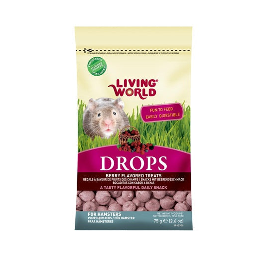 Friandises pour hamster 75 g saveur de fruits