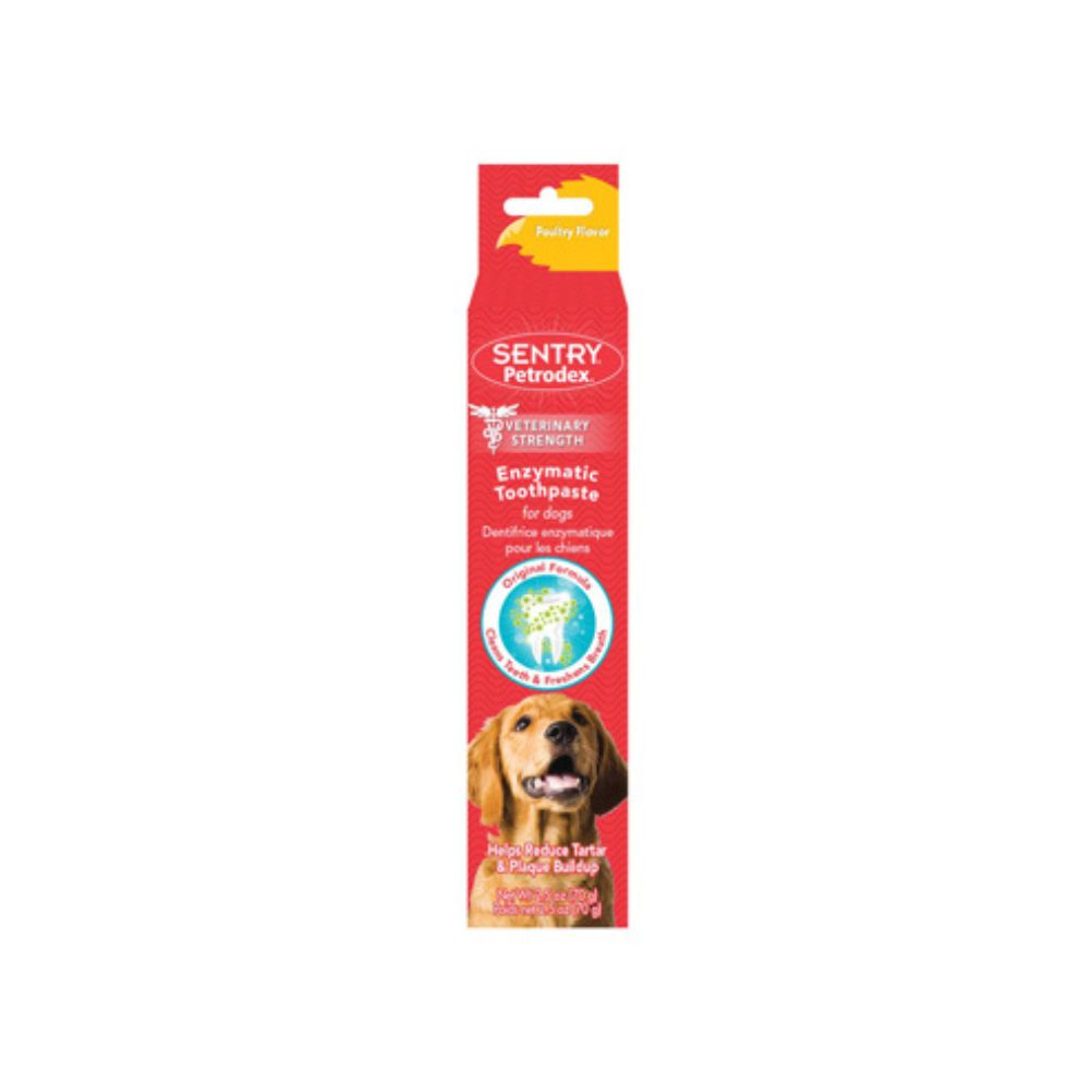 Dentifrice 70 g pour chien saveur poulet