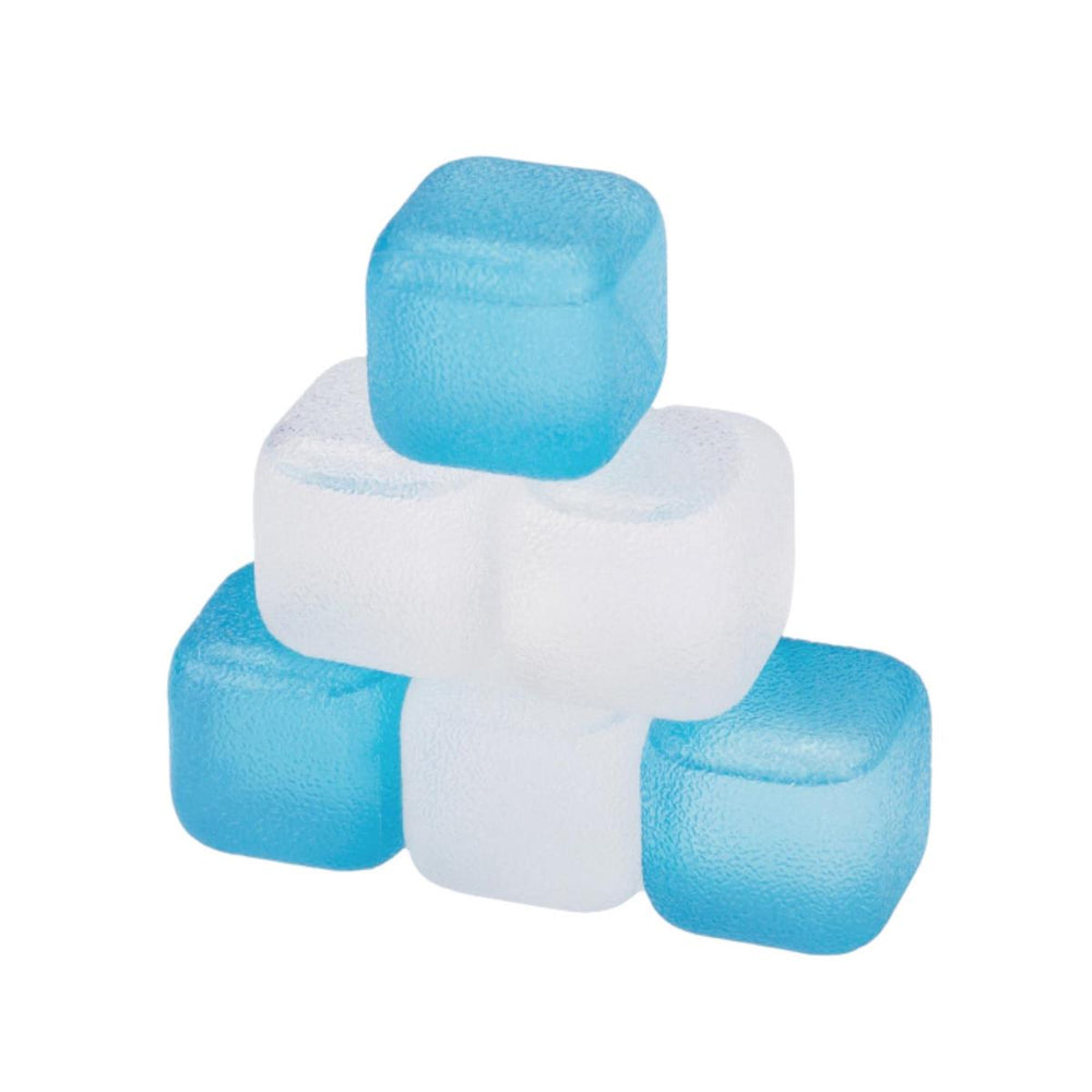 Cube de glaçon à congeler (paquet de 6)