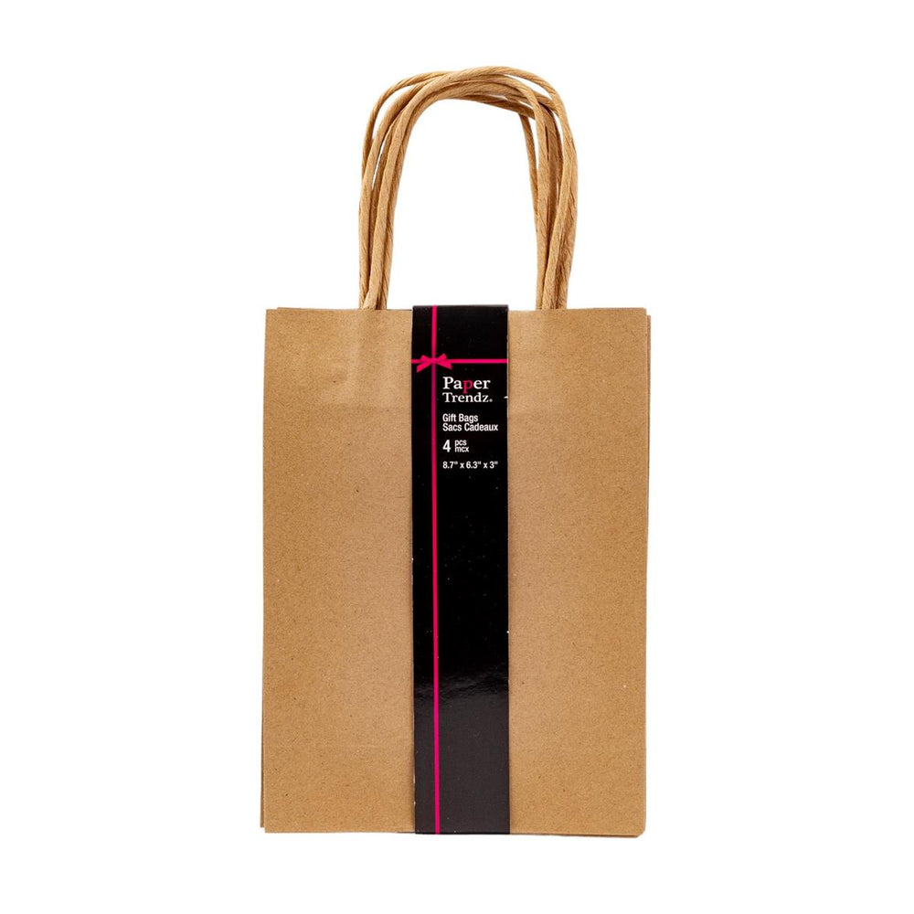 Sac cadeau en papier kraft 8 po x 6 po x 3 po (paquet de 4)