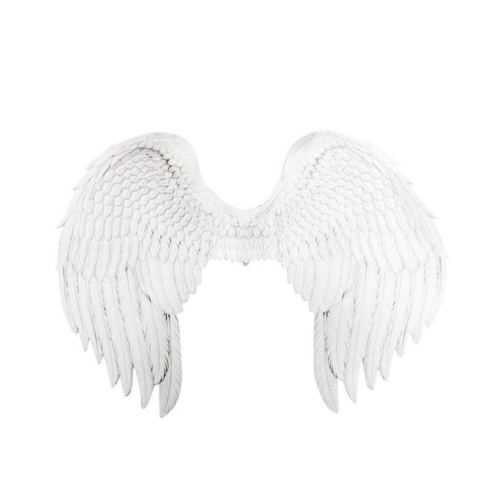 Ailes d'ange blanche