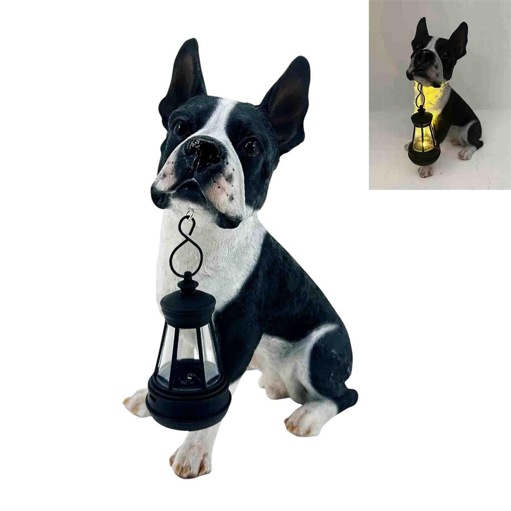 Lanterne DEL solaire 7 po x 5 po x 10 po chien