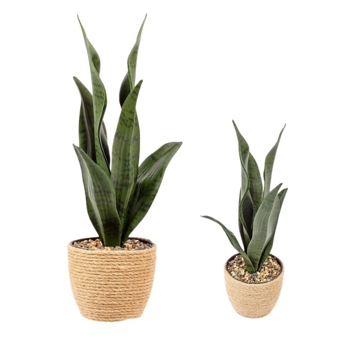 Plante langue de chat artificielle 13,4 po dans pot de jute