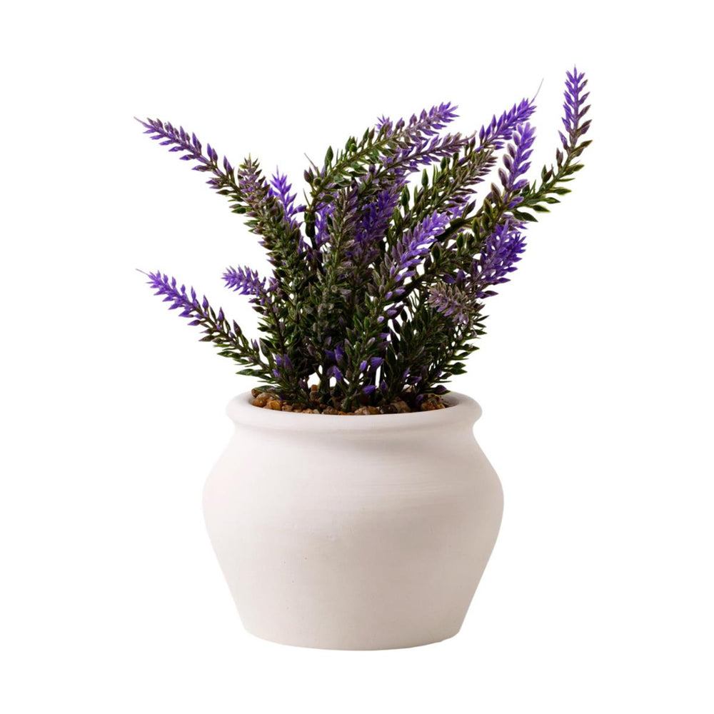 Plante décorative lavande 9 po dans un pot