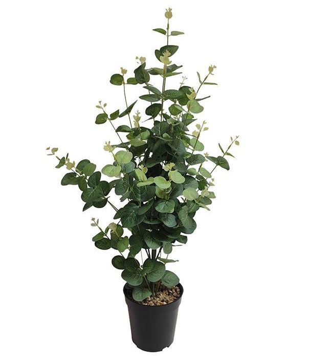 Plante eucalyptus artificielle 26 po dans un pot noir