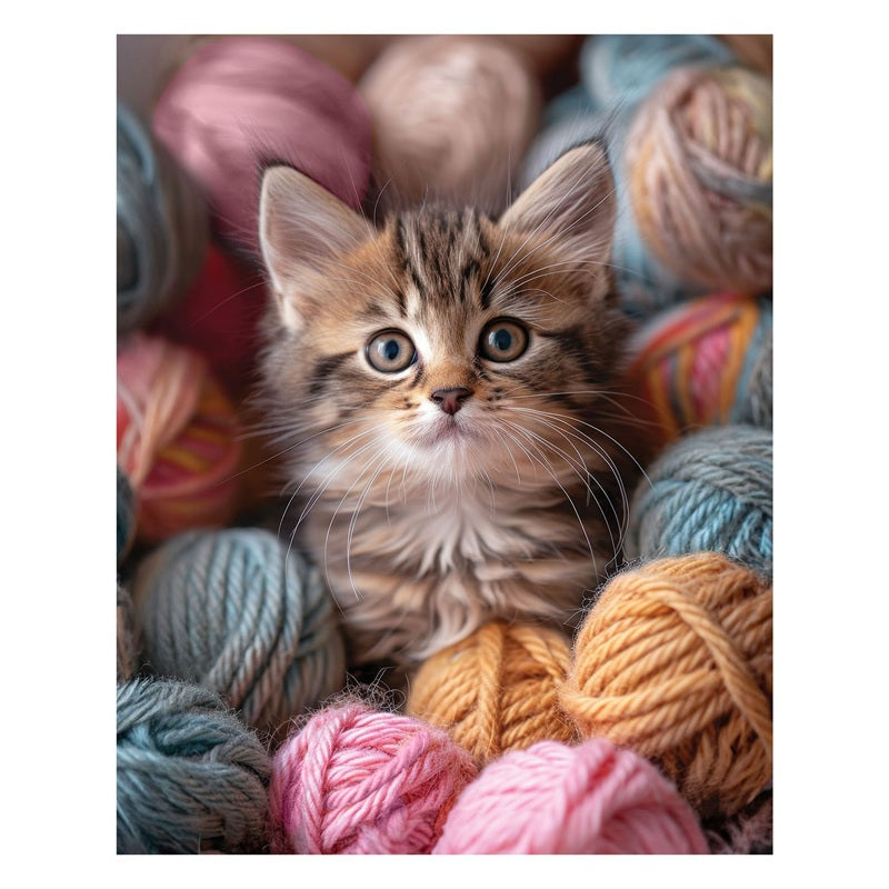 Jeté 48 po x 60 po en microvison imprimé chaton