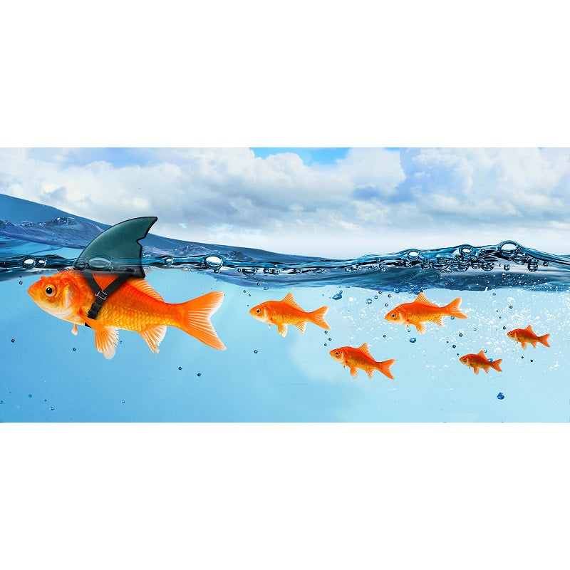 Serviette de plage 28 po x 58 po poisson-requin