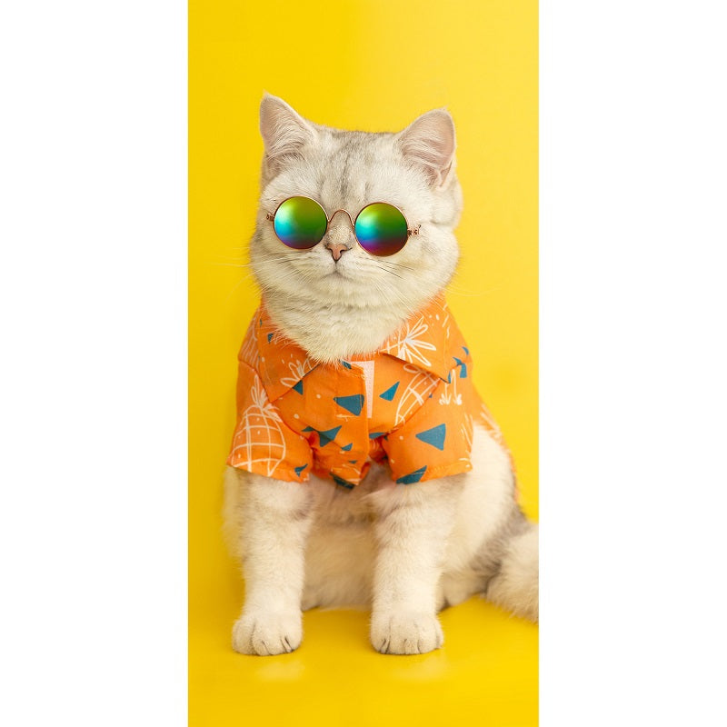 Serviette de plage en velours 28 po x 58 po chat cool