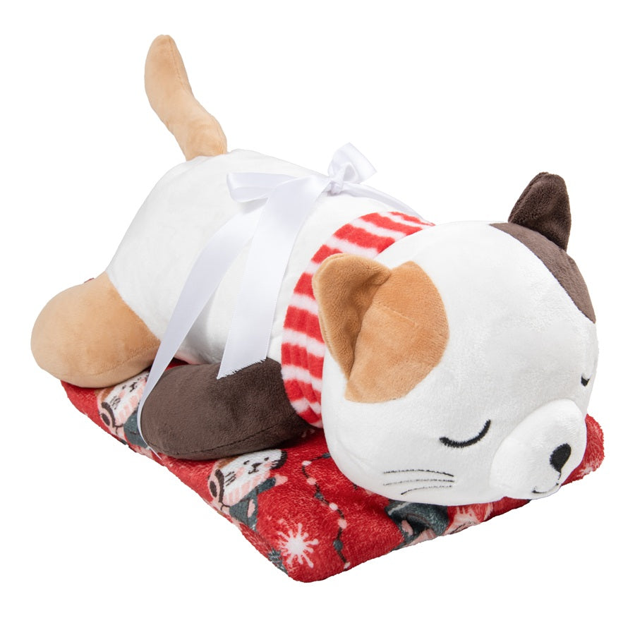 Ensemble de peluche et jeté 48 po x 60 po chat