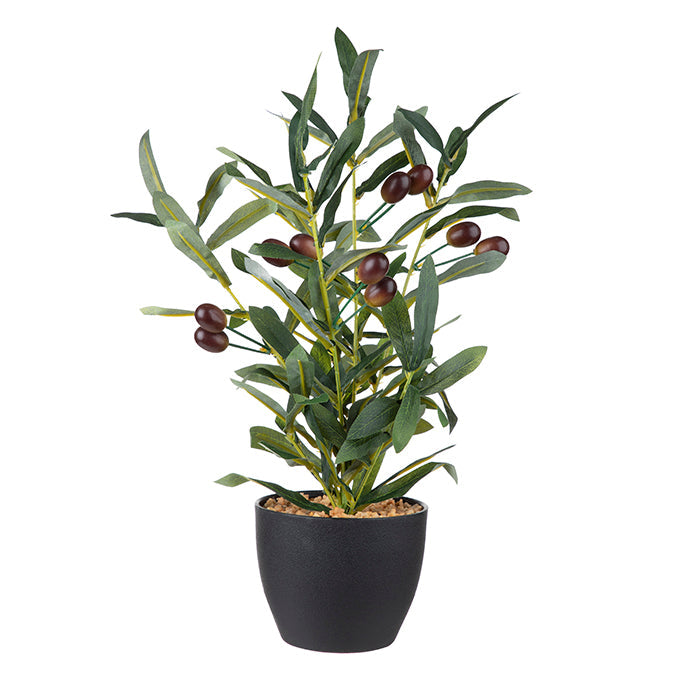 Plante olivier artificielle dans un pot noir 17 po