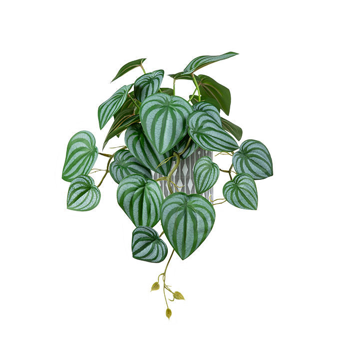 Plante peperomia artificielle 12 po dans un pot en céramique
