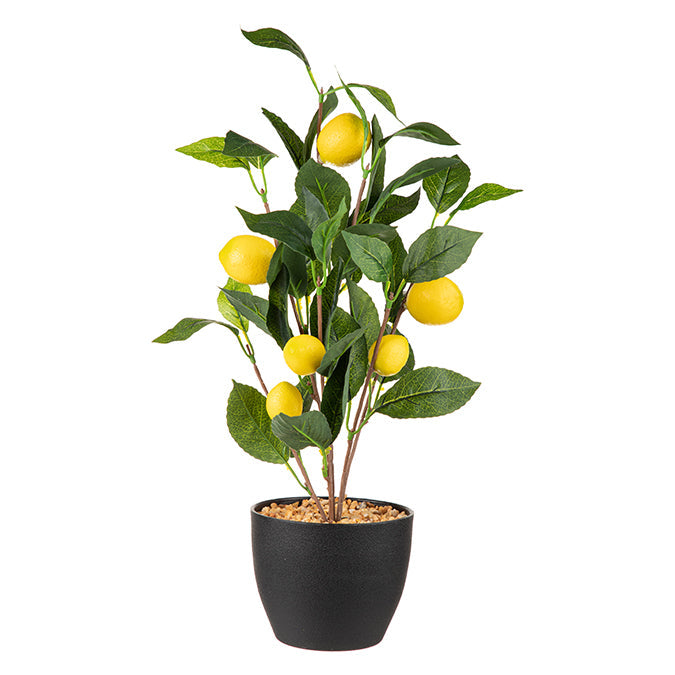 Plante citronnier artificielle 17 po dans un pot en plastique noir