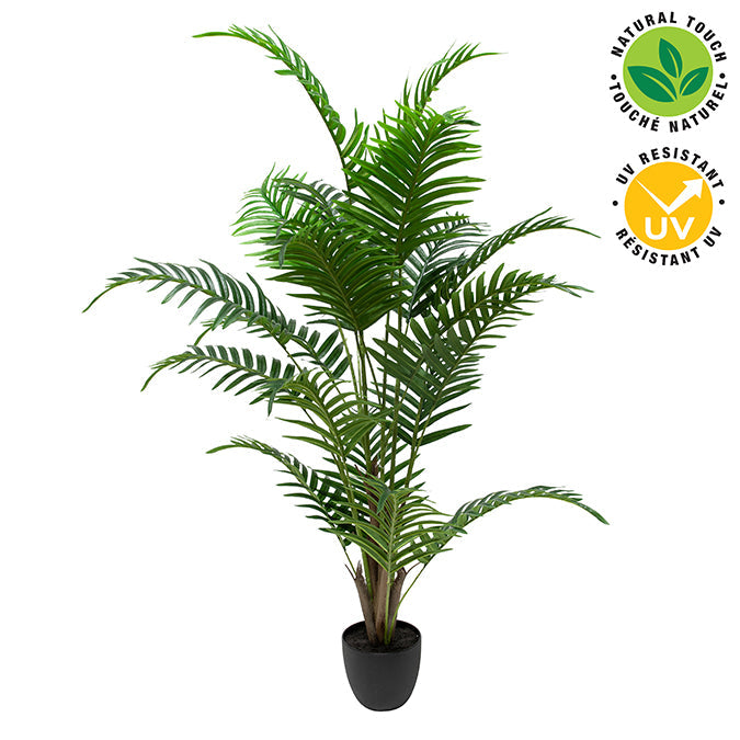 Palmier traité UV 49 po dans pot noir