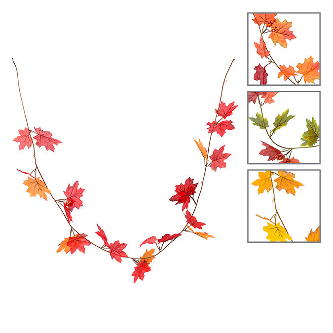 Vigne de feuilles d'érable colorées