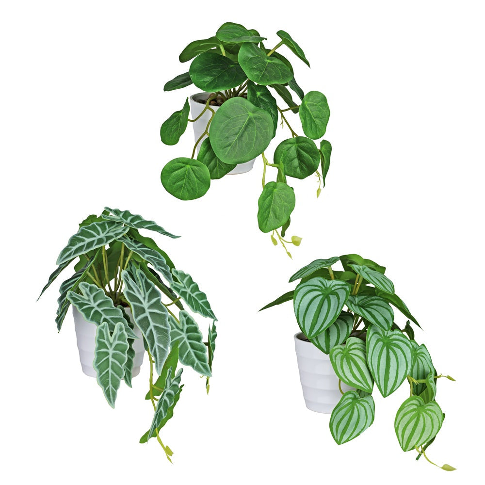 Plante rampante artificielle 7 po dans pot en plastique blanc