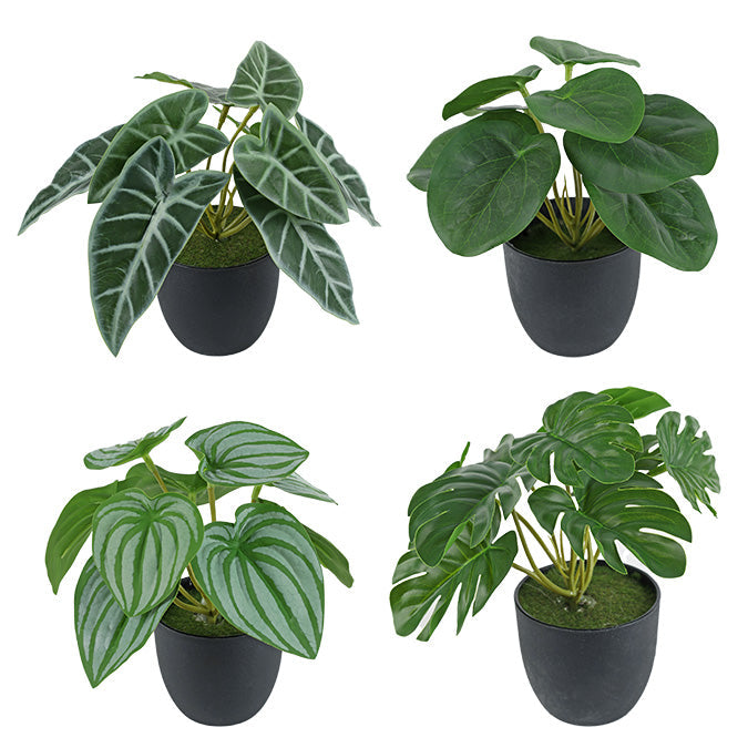 Plante verte artificielle 6 po dans pot en plastique noir