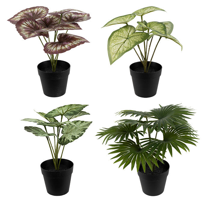 Plante artificielle dans pot en plastique noir 10 po