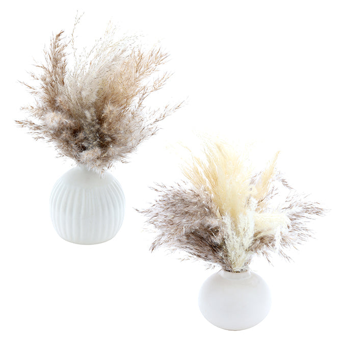 Pampas séchée 12 po dans vase en céramique beige