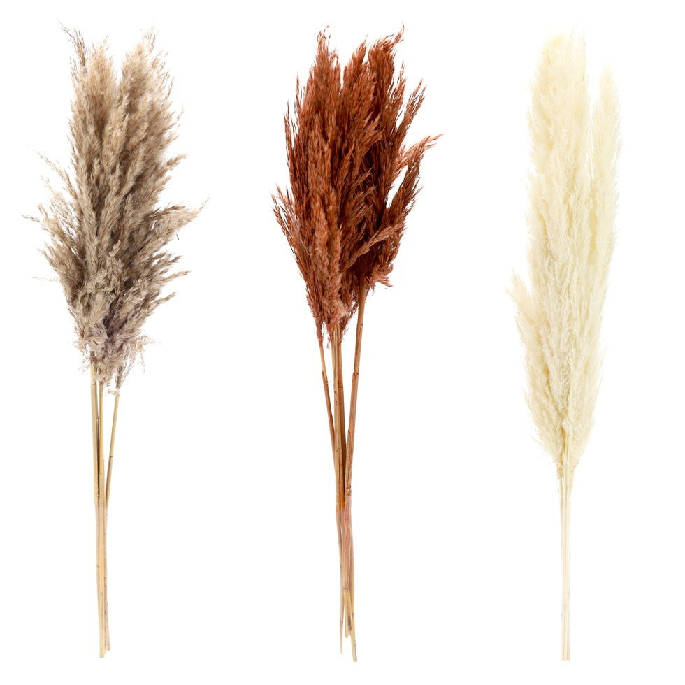 Branche d'herbes de pampas séchés artificielle 35 po