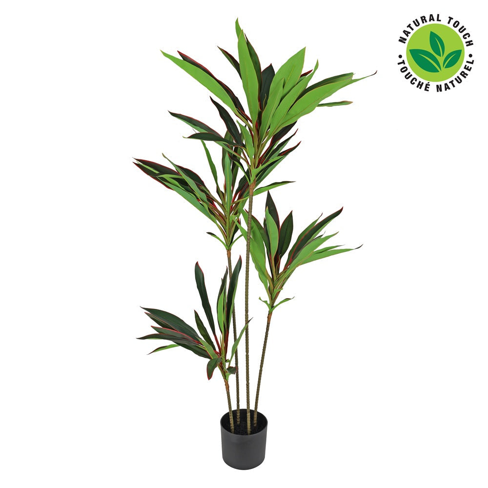 Arbre dracaena artificiel dans pot en plastique noir