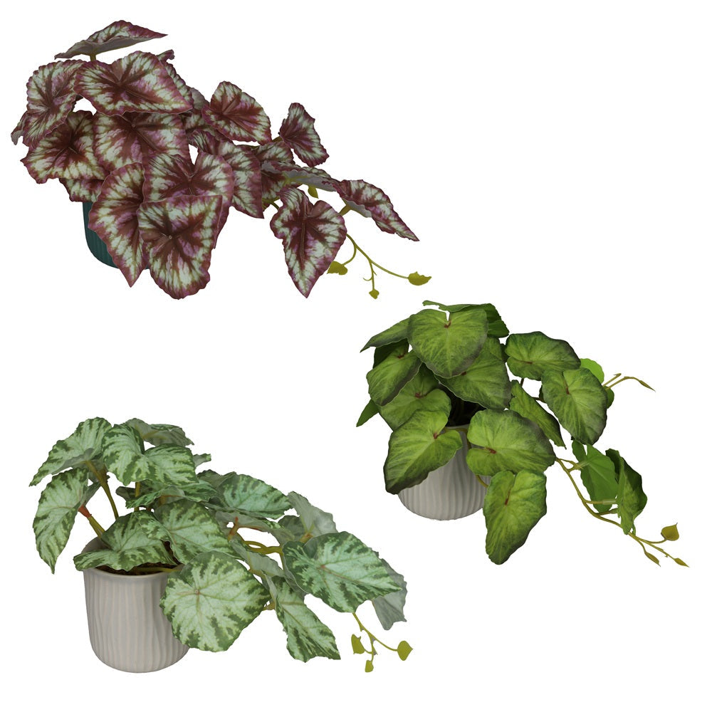 Plante rampante artificielle 6 po dans pot en céramique
