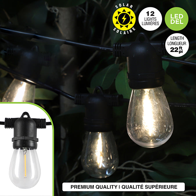 Jeu de 12 lumières solaires DEL