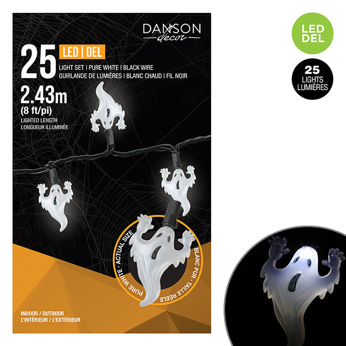 Jeu de 25 lumières DEL fantôme blanc froid