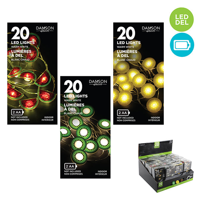 Lumières pour intérieur, 20 DEL, blanc chaud à piles