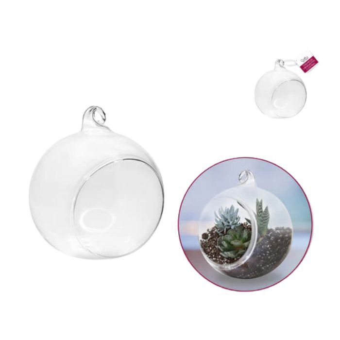 Terrarium en verre
