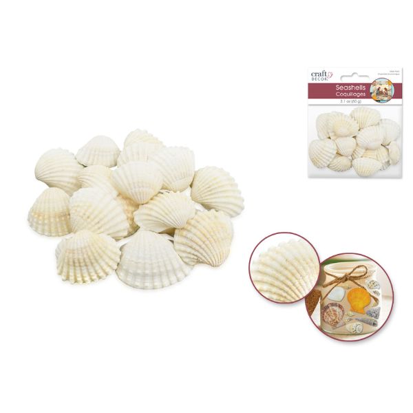 Coquillage 60 g blanc