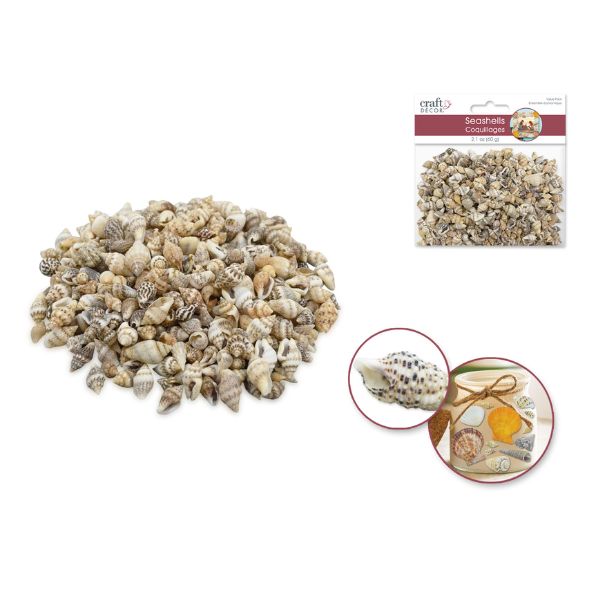 Coquillage 60 g naturel
