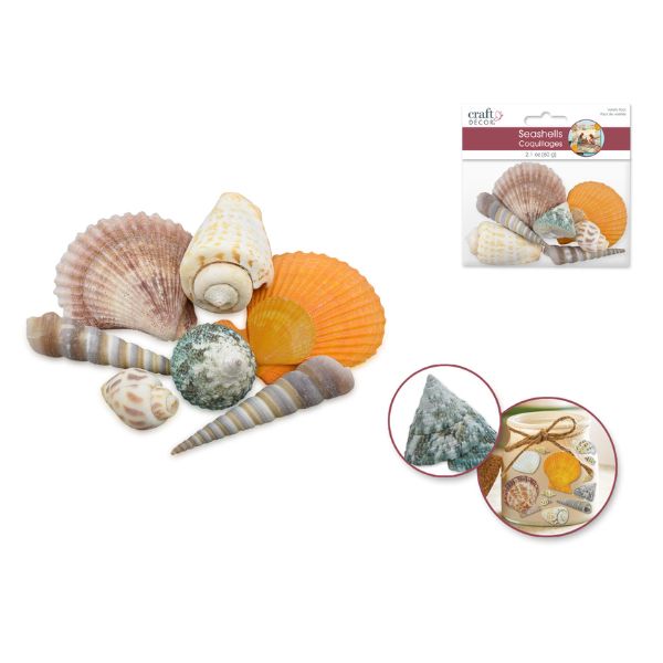Coquillage 60 g tropical