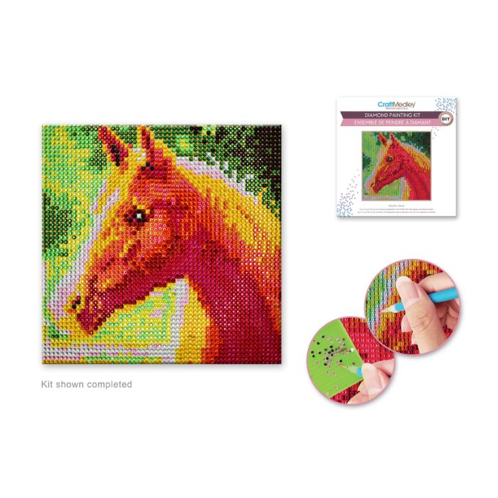 Broderie de diamant (Diamond Painting) 6,5 po x 6,5 po diamant rond cheval