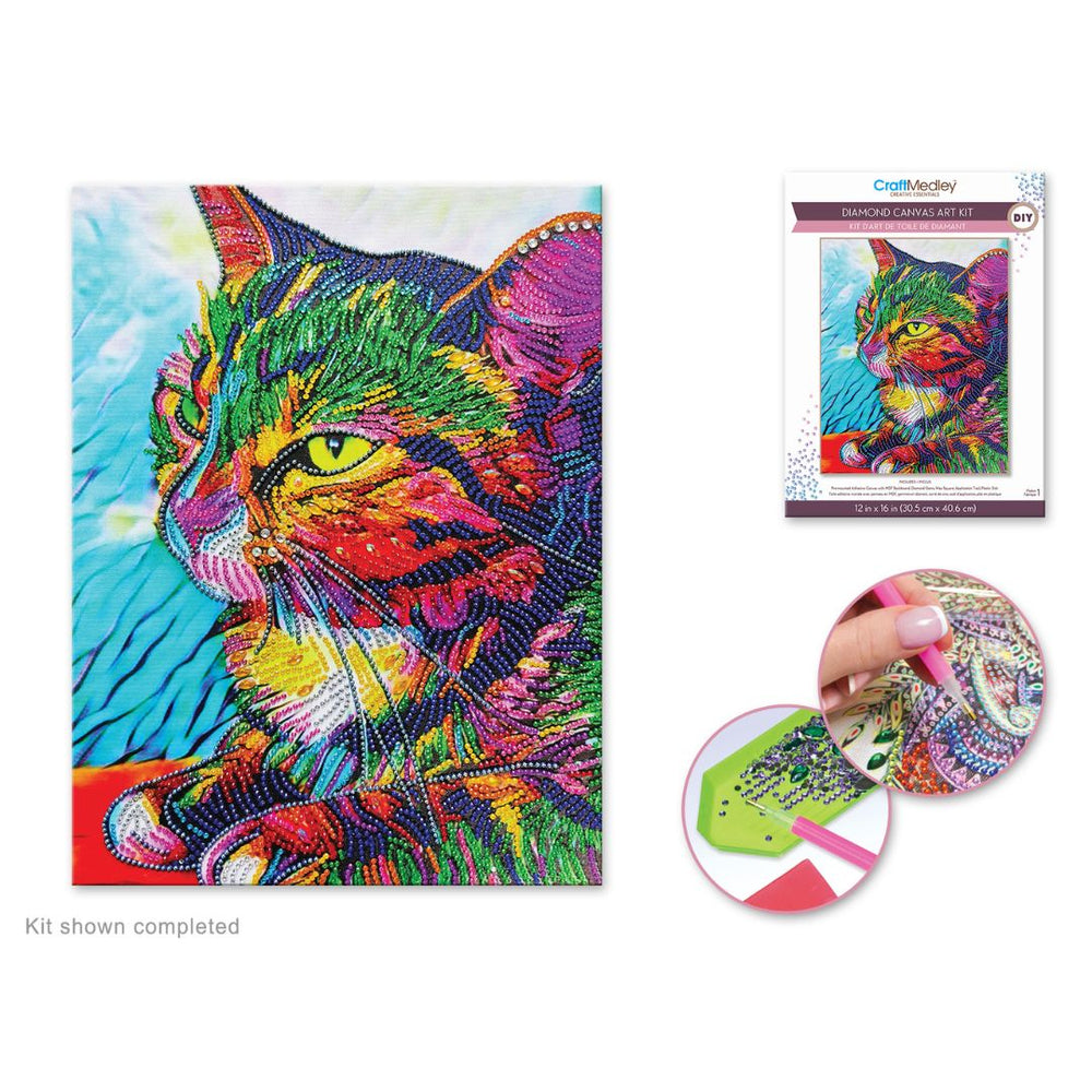 Broderie de diamant (Diamond Painting) 12 po x 16 po chat