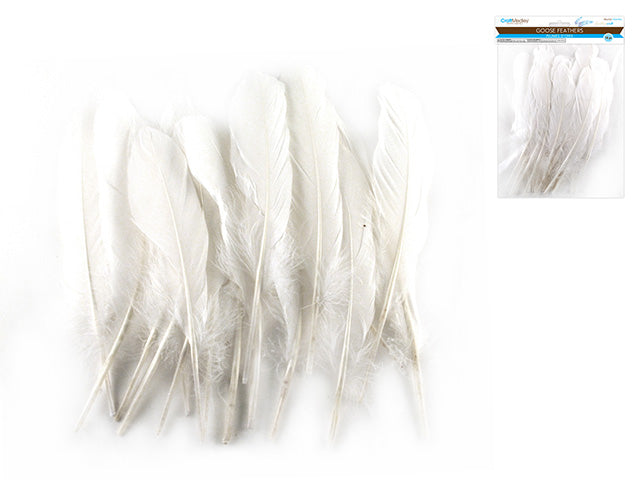 Plume 8 po blanc (paquet de 12)