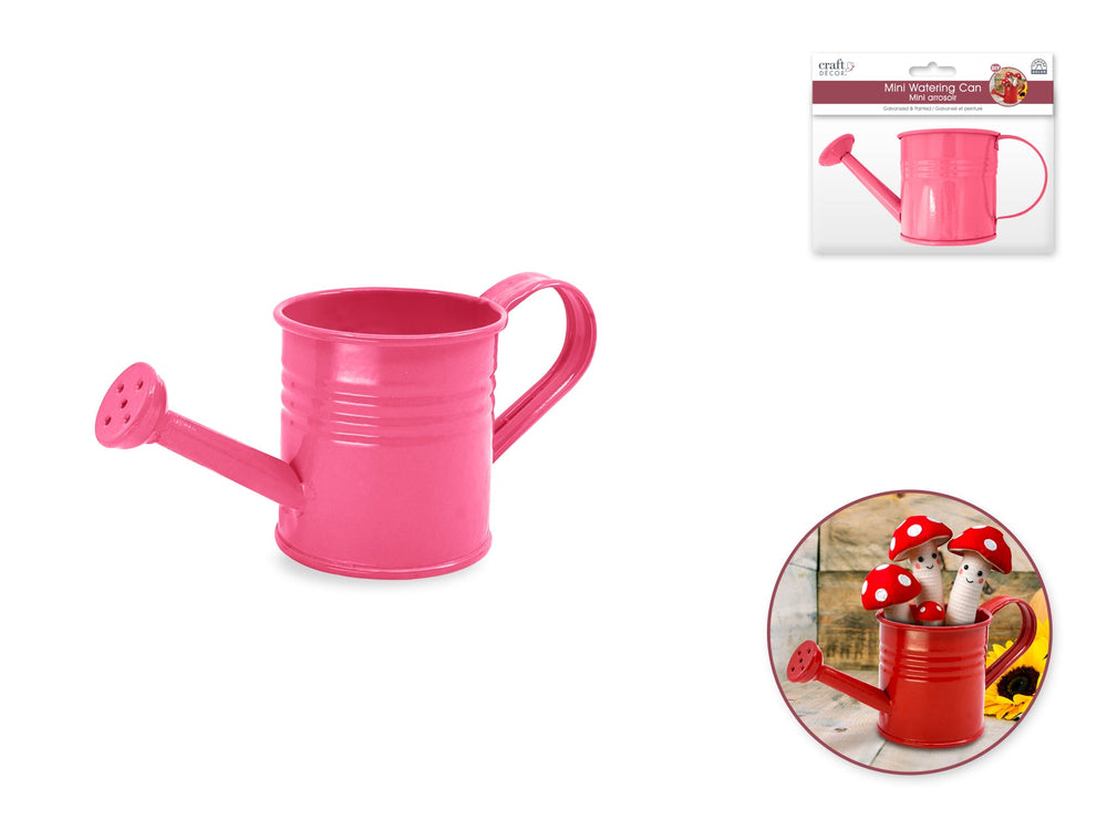 Arrosoir 2 po en métal galvanisé rose