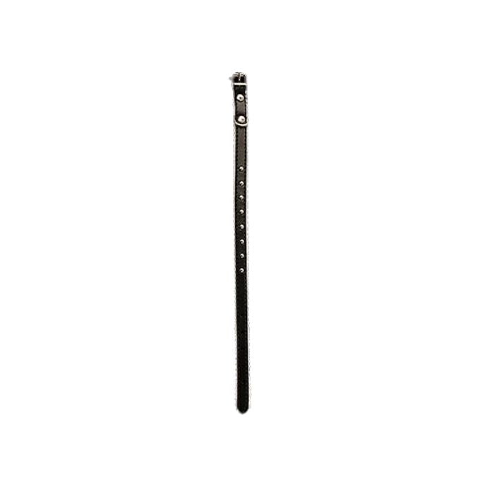 Collier pour chat 0,38 po x 12 po