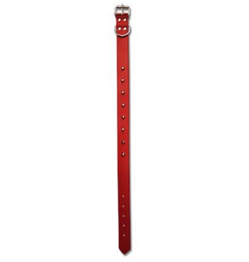 Collier pour chien 24 po x 1,13 po rouge