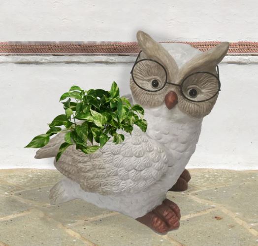 Cache-pot 13 po x 9 po x 13 po hibou avec lunettes