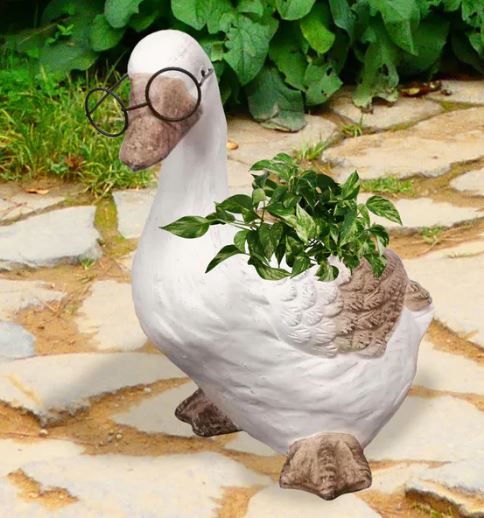 Cache-pot 13 po x 8 po x 9,5 po canard avec lunettes