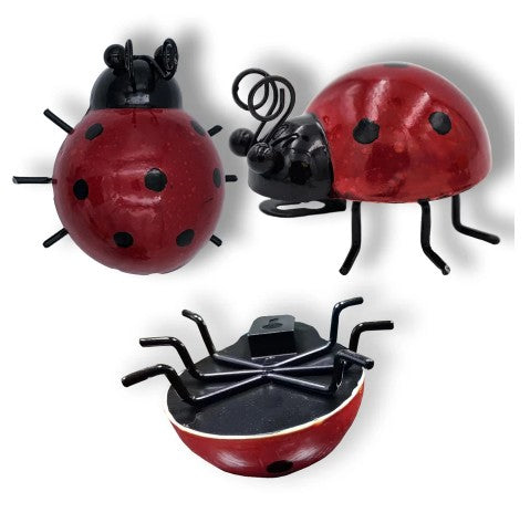 Coccinnelle décorative 3,5 po x 3 po x 2 po
