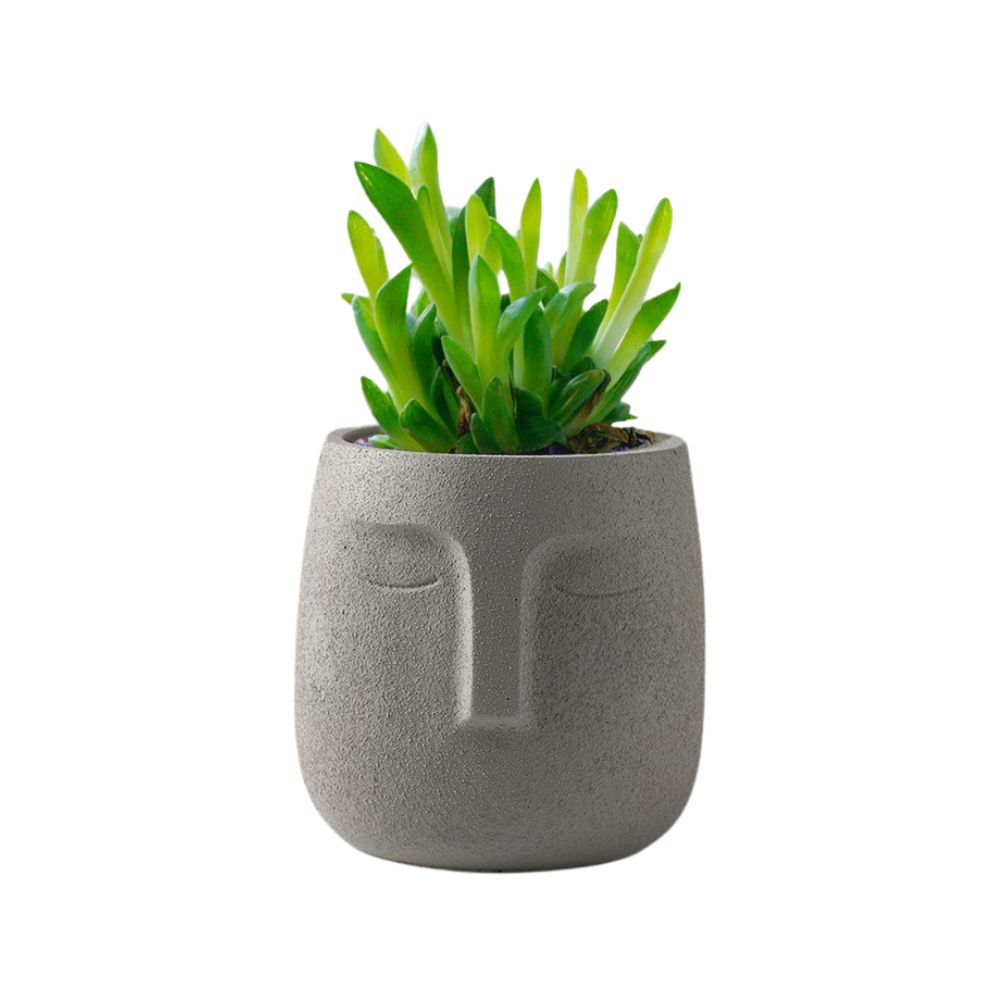 Cache-pot 6 po x 6 po en ciment visage gris
