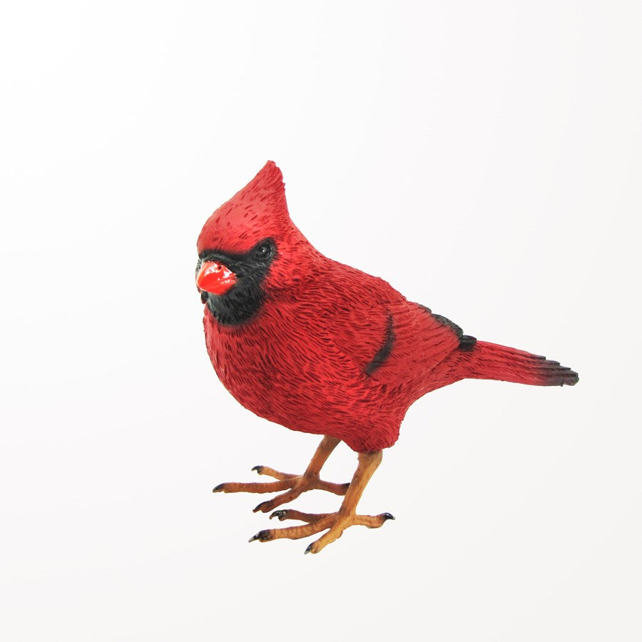 Cardinal rouge 5 po x 2,5 po x 4,25 po