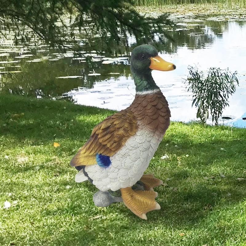 Canard colvert 5,5 po x 4,7 po x 7,25 po