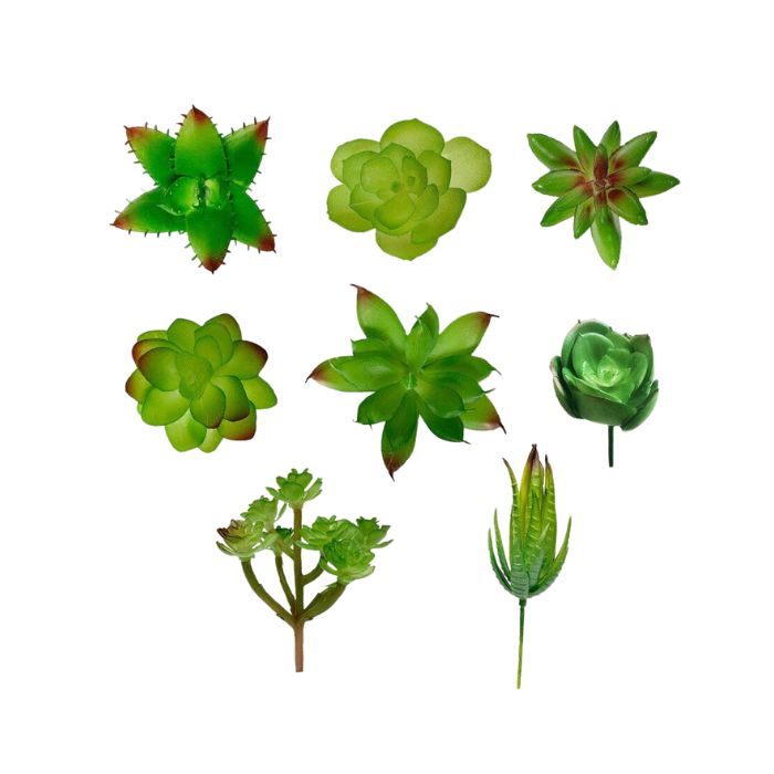 Plante succulente artificielle