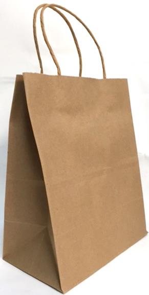 Sac cadeau grand 10 po x 13 po papier kraft (paquet de 12)