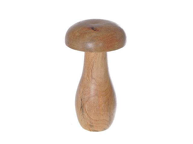 Champignon bois verni