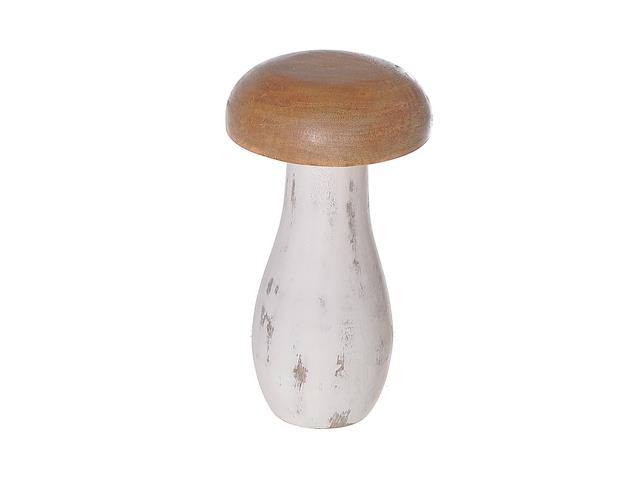 Champignon bois blanc