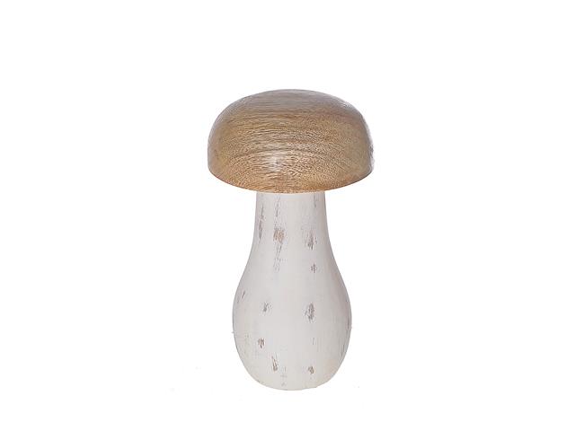 Champignon bois blanc